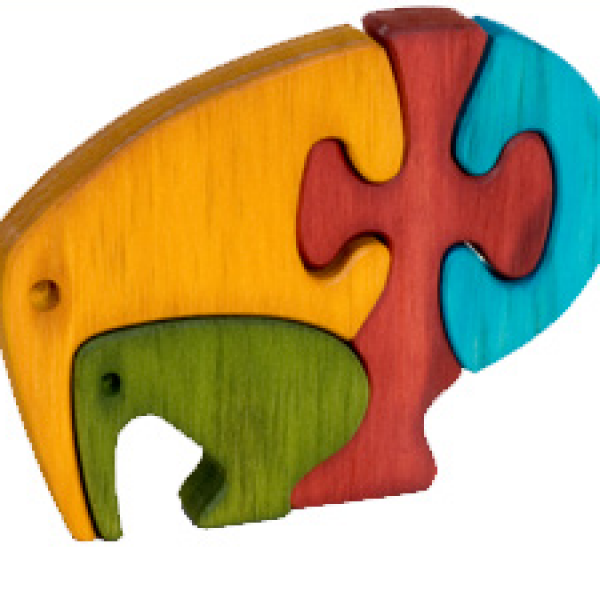 Puzzle kiwi coloré